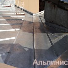 promalp5